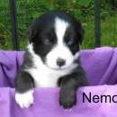 Socke und Nheela 